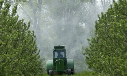 Земјоделците да внимаваат при прскање на овошните дрвца